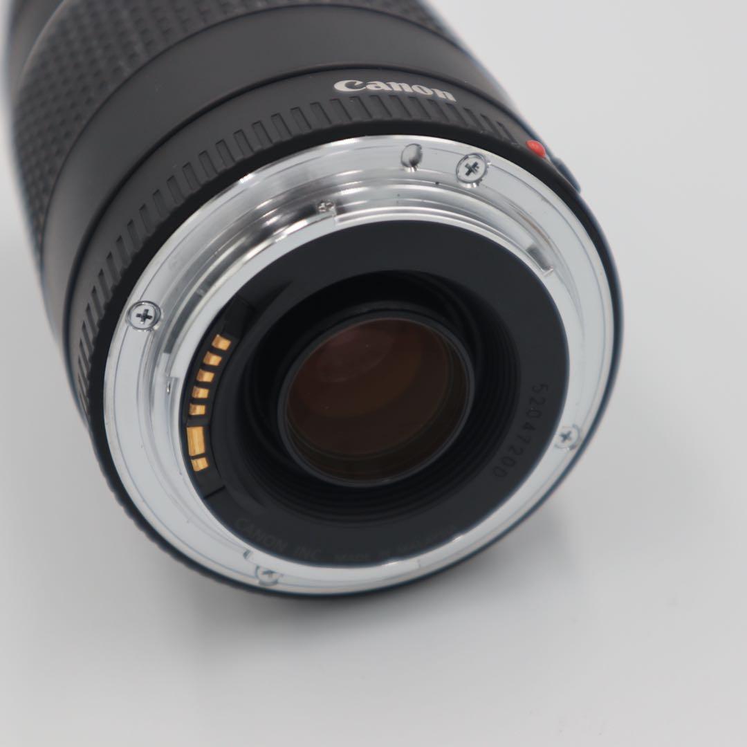 Canon EF 75-300mm F4-5.6 Ⅲ USM レンズ