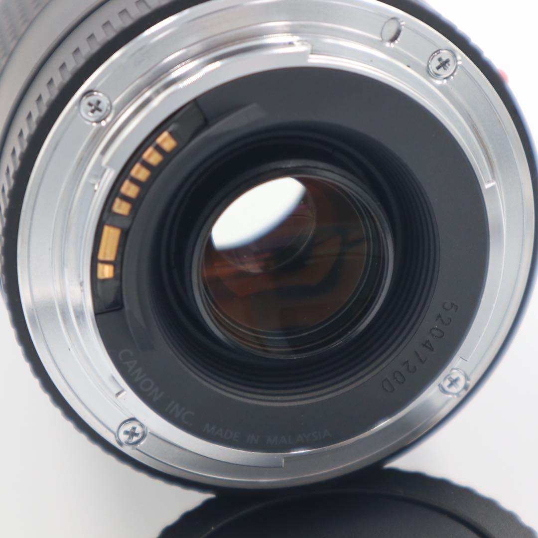 Canon EF 75-300mm F4-5.6 Ⅲ USM レンズ