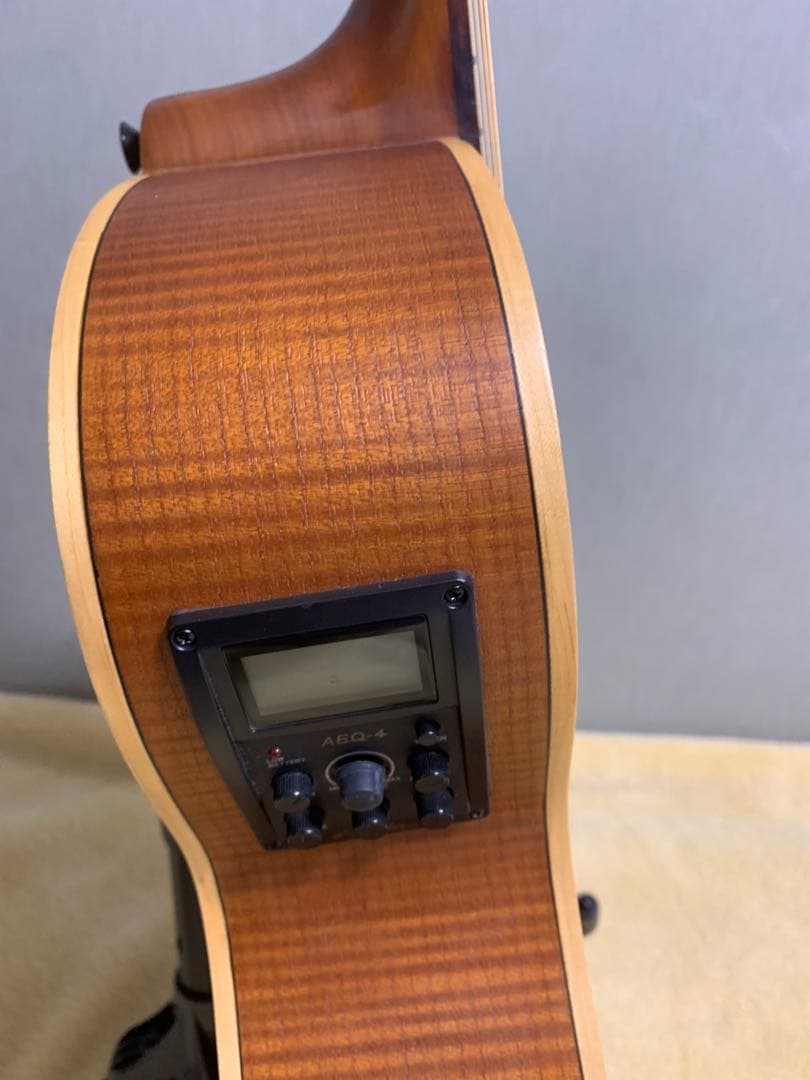 ARIA FET-F1 N エレアコ