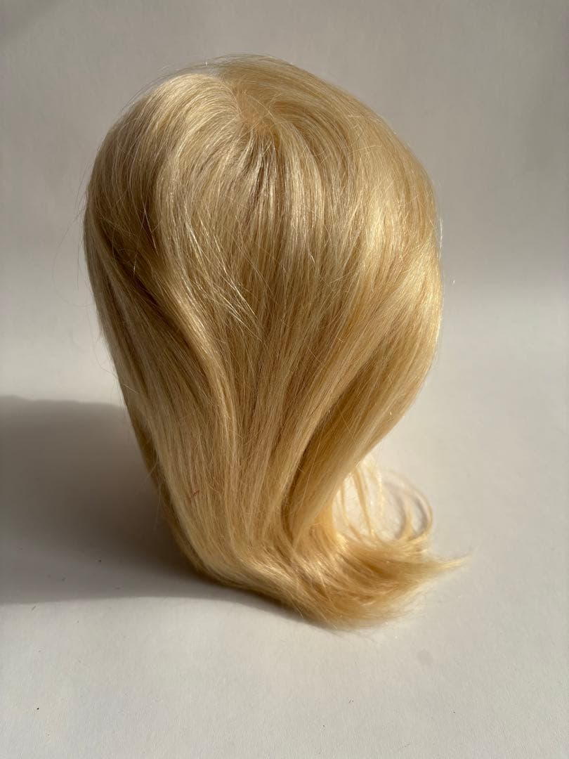 値下げ。カットウィッグ練習用iP100G 5体セット