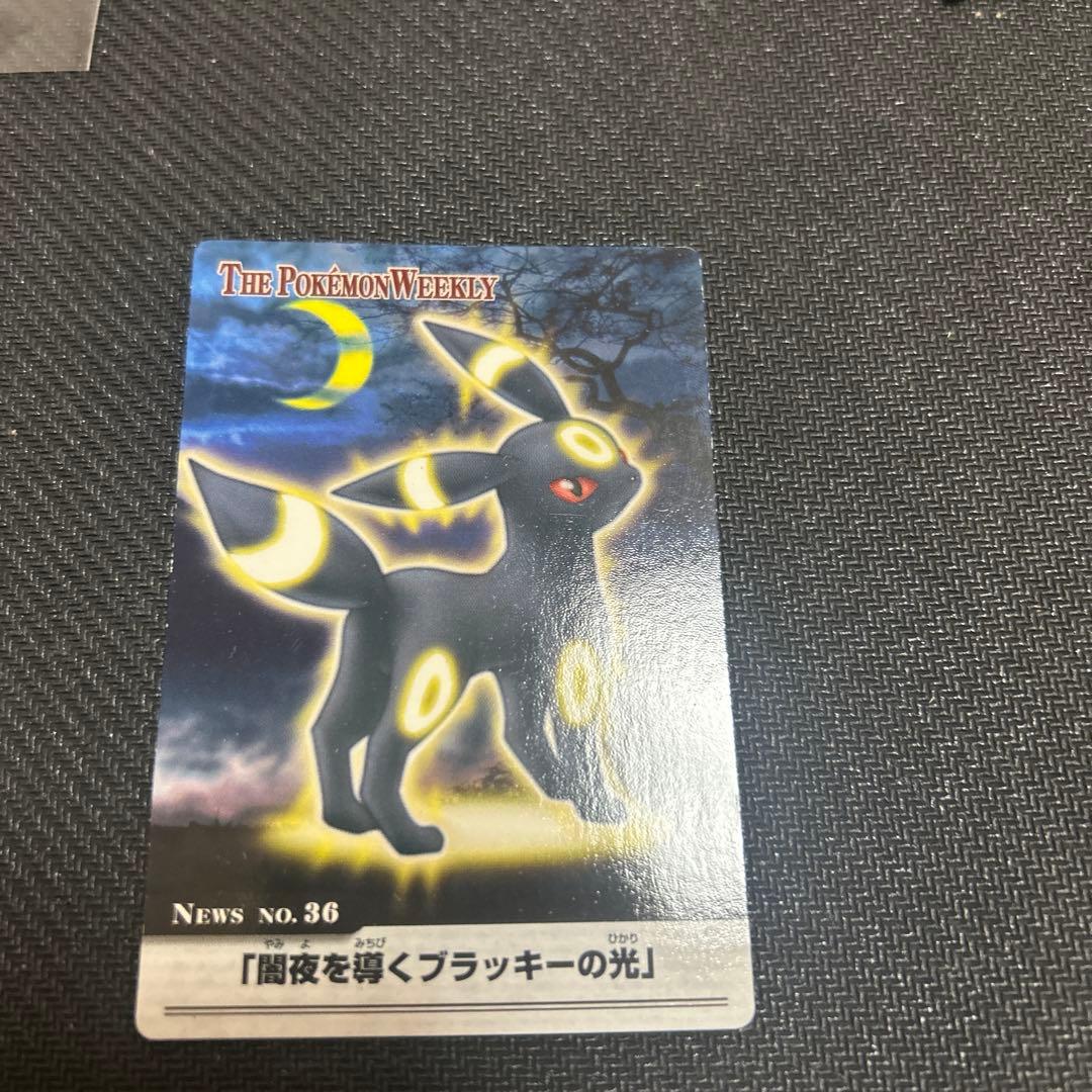 ポケモンウィークリー　「闇夜を導くブラッキーの光」