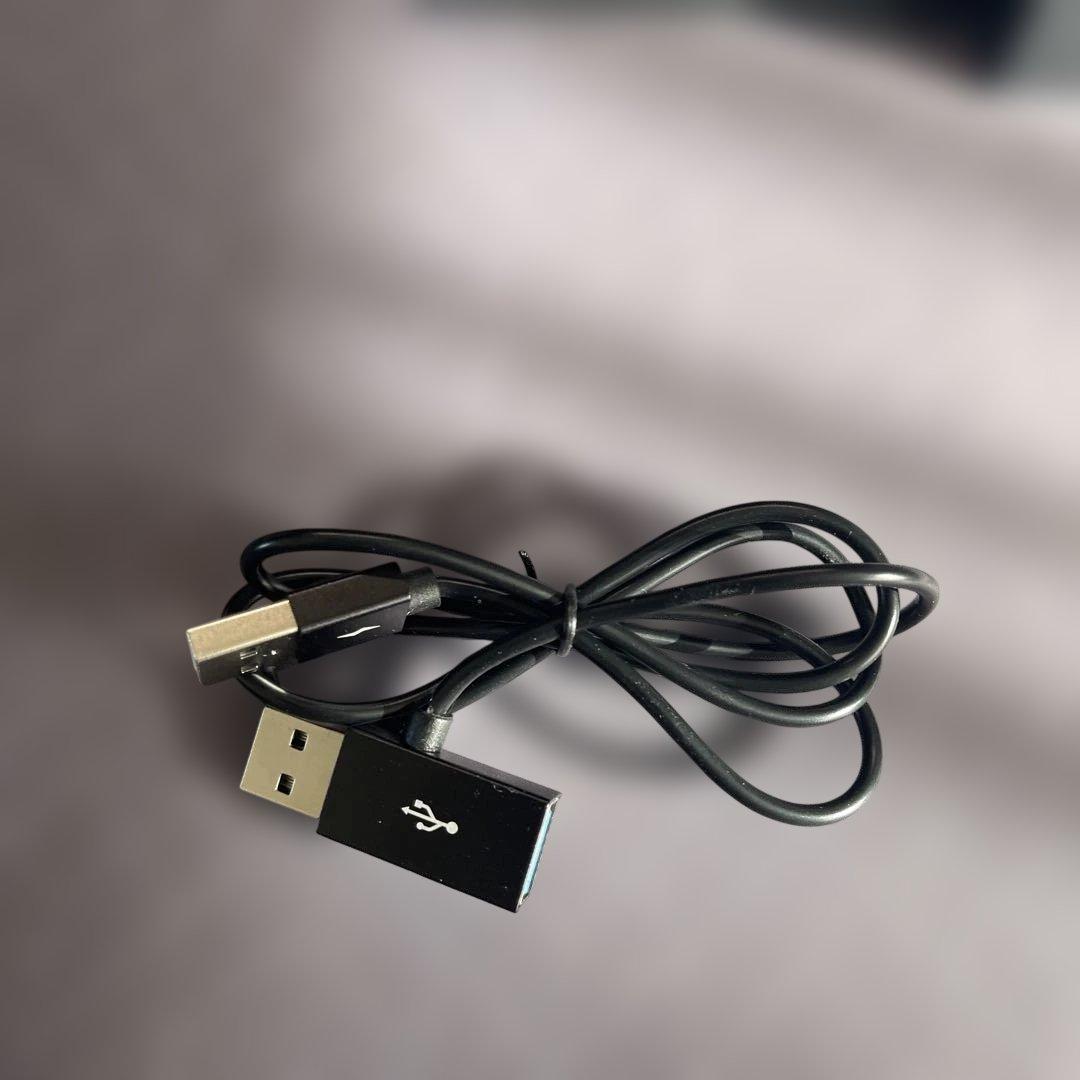 【最終値下】　【美品】Ottocast P3 lite vs