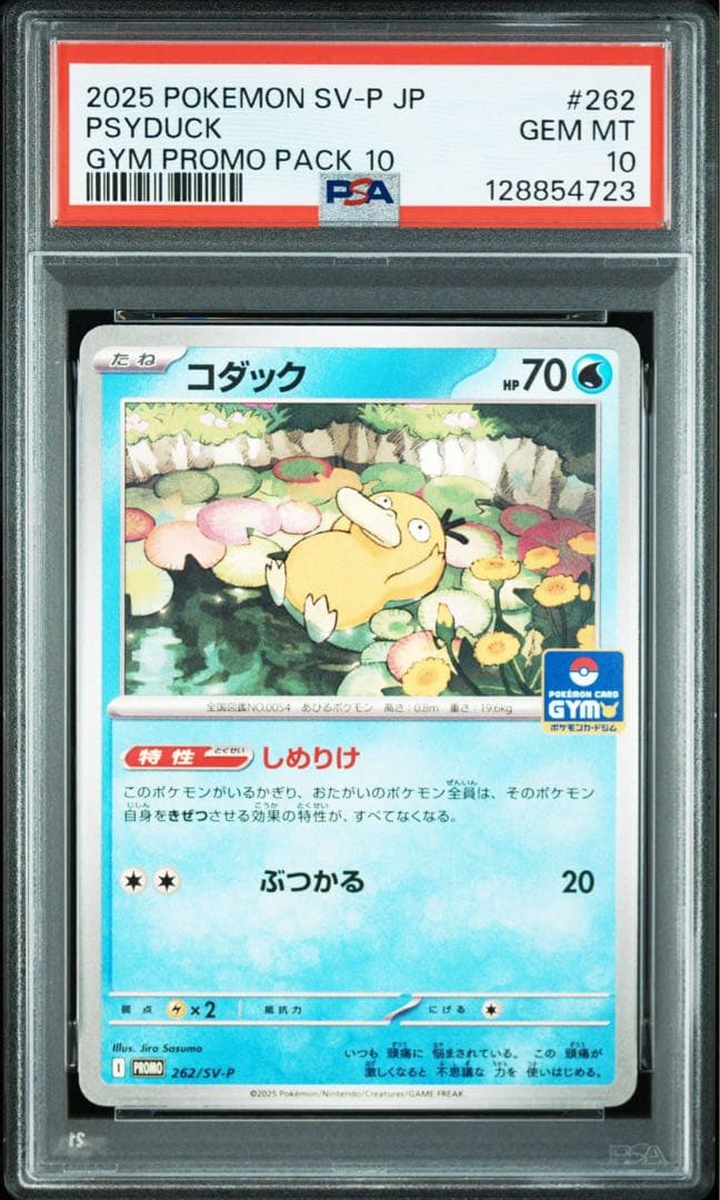 【PSA10】 コダック ジムプロモ しめりけ sy-p 6連番 psyduck