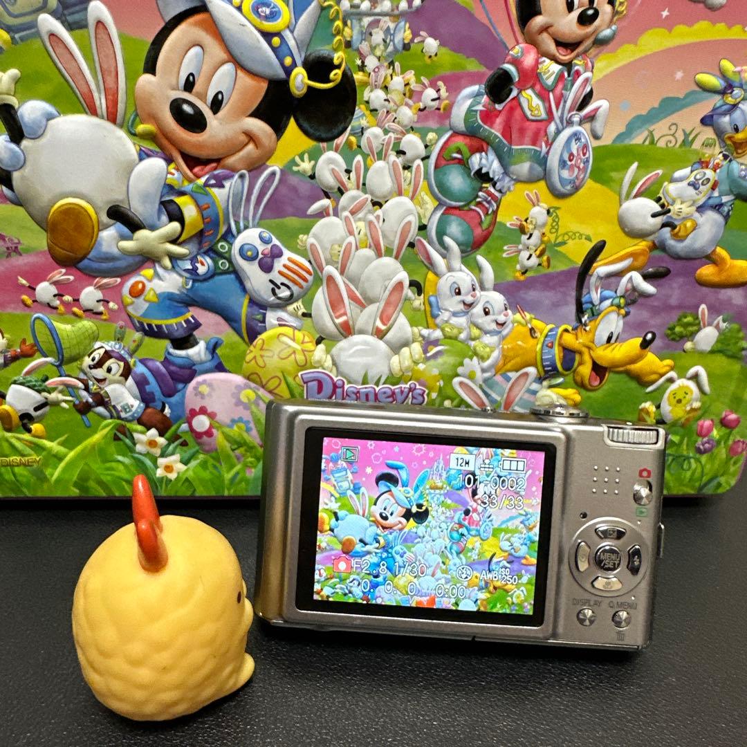 美品　Panasonic LUMIX DMC-FX-40 動作確認済