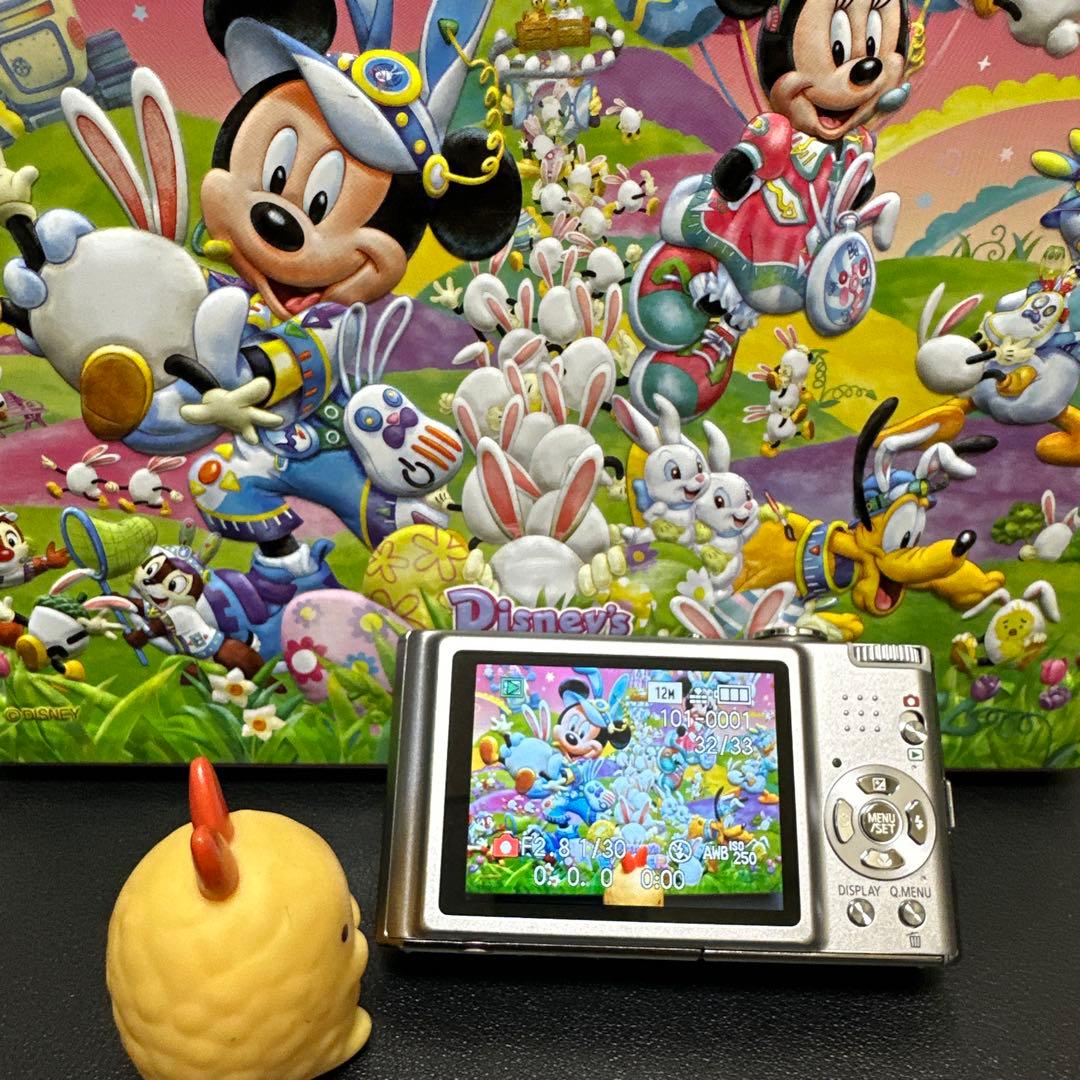 美品　Panasonic LUMIX DMC-FX-40 動作確認済