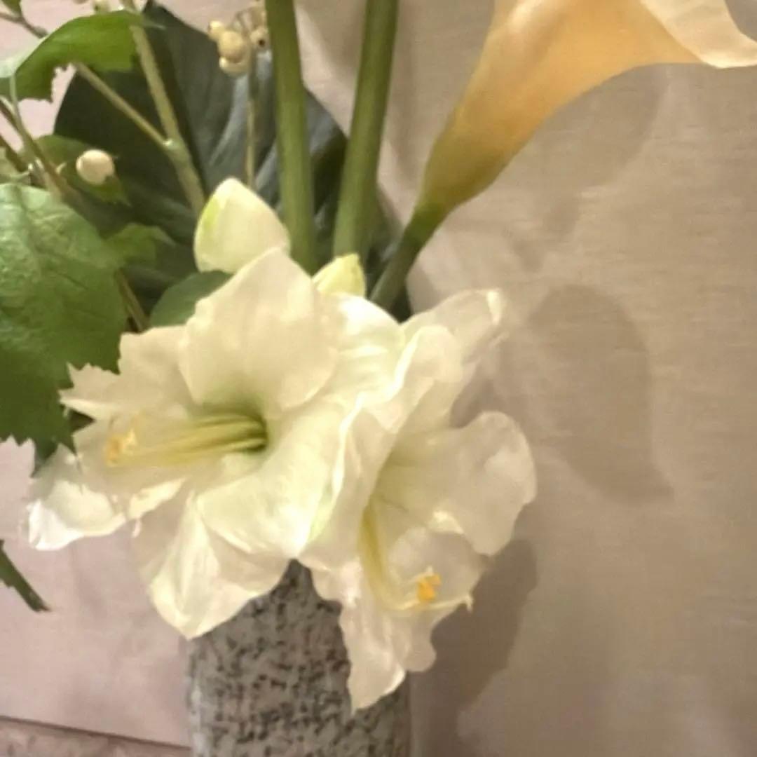 EMILIO ROBBA エミリオロバ