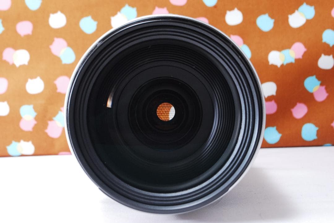 ✨超美品✨Canon EF 28-300mm F3.5-5.6 L IS USM