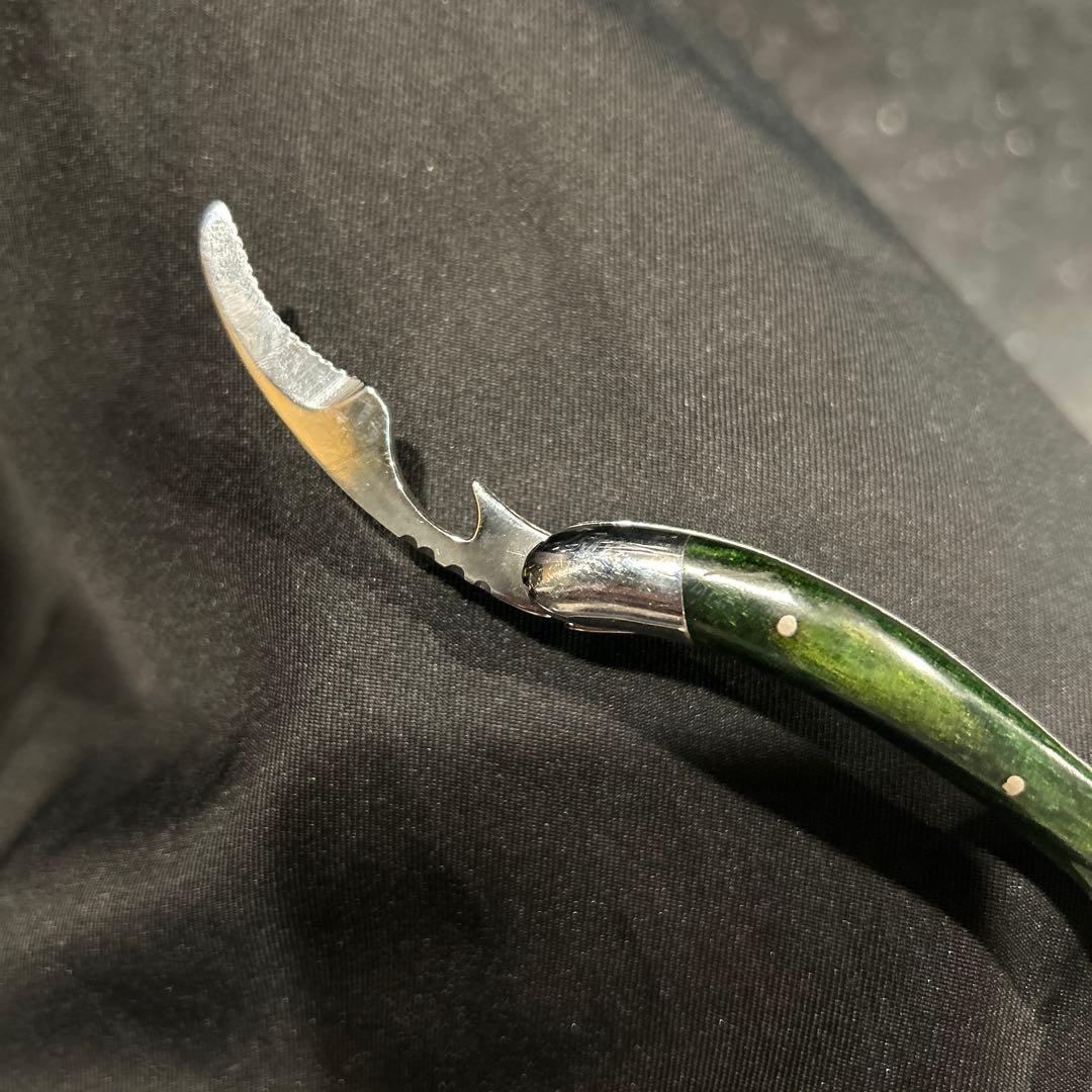 シャトーラギオール