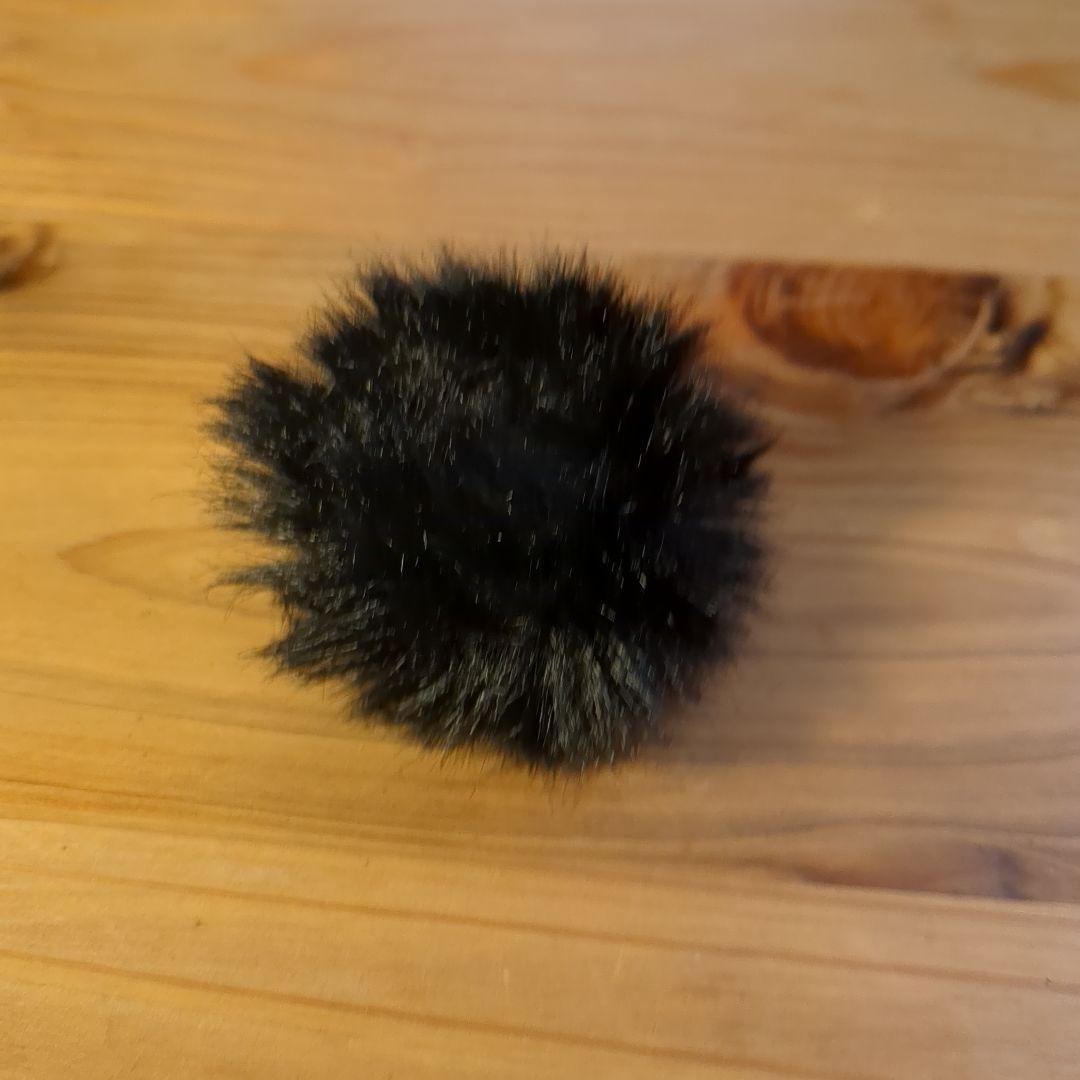 【美品】Hollyland Lark M2 ワイヤレスマイク Type-C