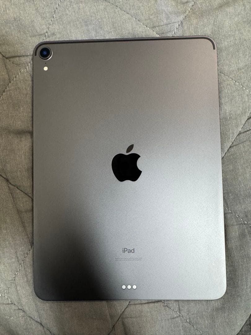 iPad Pro 11インチ 第1世代 256GB WiFiモデル 本体のみ