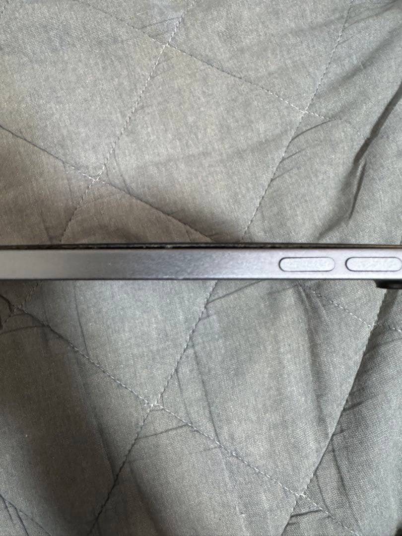 iPad Pro 11インチ 第1世代 256GB WiFiモデル 本体のみ