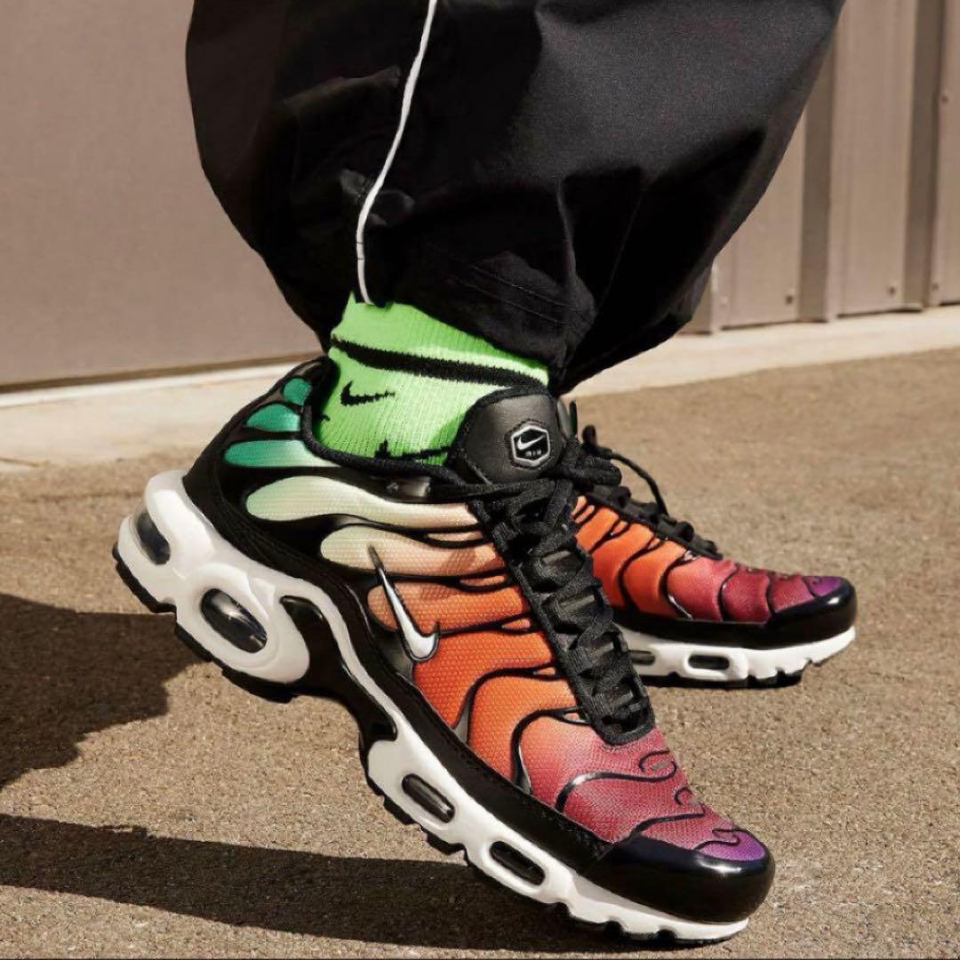 【新品未使用】 ナイキ エアマックス プラス マルチカラー 希少 人気デザイン
