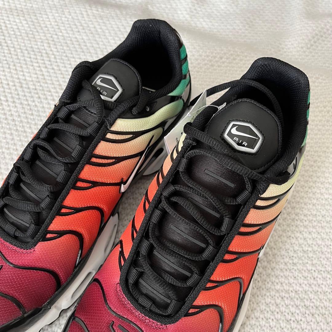 【新品未使用】 ナイキ エアマックス プラス マルチカラー 希少 人気デザイン