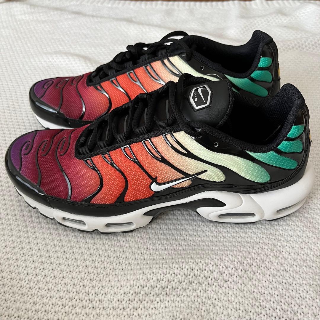 【新品未使用】 ナイキ エアマックス プラス マルチカラー 希少 人気デザイン