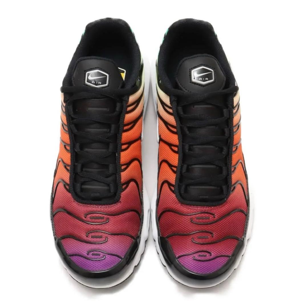 【新品未使用】 ナイキ エアマックス プラス マルチカラー 希少 人気デザイン