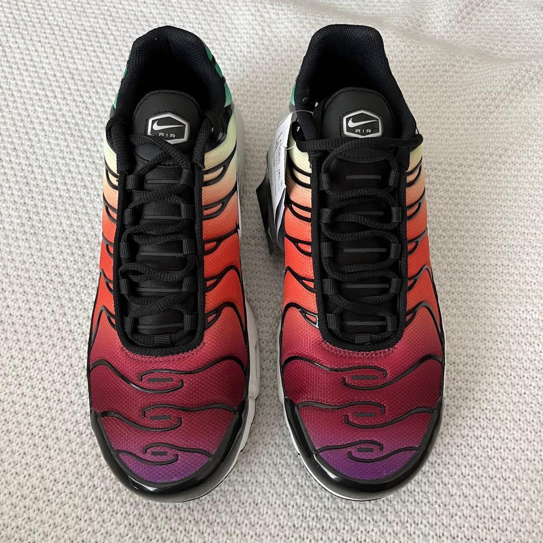 【新品未使用】 ナイキ エアマックス プラス マルチカラー 希少 人気デザイン