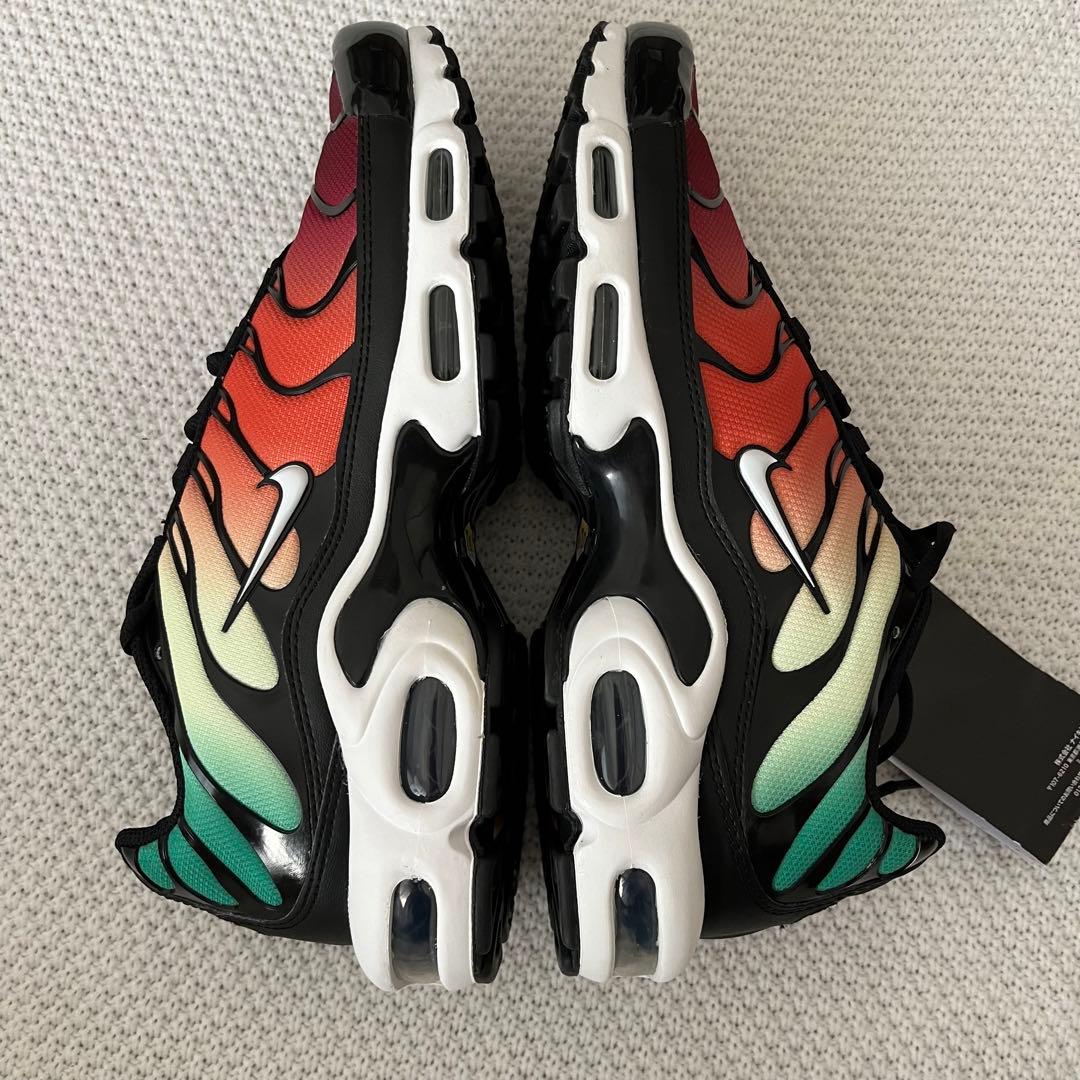 【新品未使用】 ナイキ エアマックス プラス マルチカラー 希少 人気デザイン