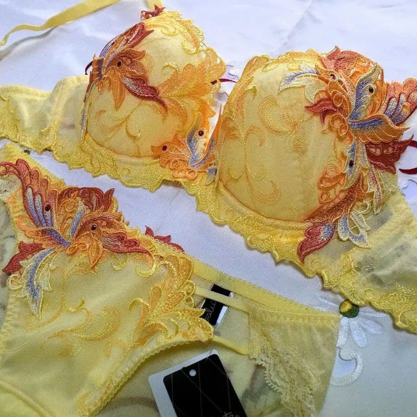 新品・タグ付き☆ワコール☆サルート☆９２G・火の鳥☆ＹＥ☆Ｄ７５＆ショーツＬ