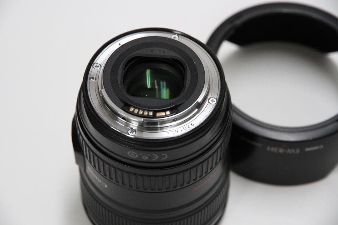 Canon EOS 6DとEF24-105mm　6D-①