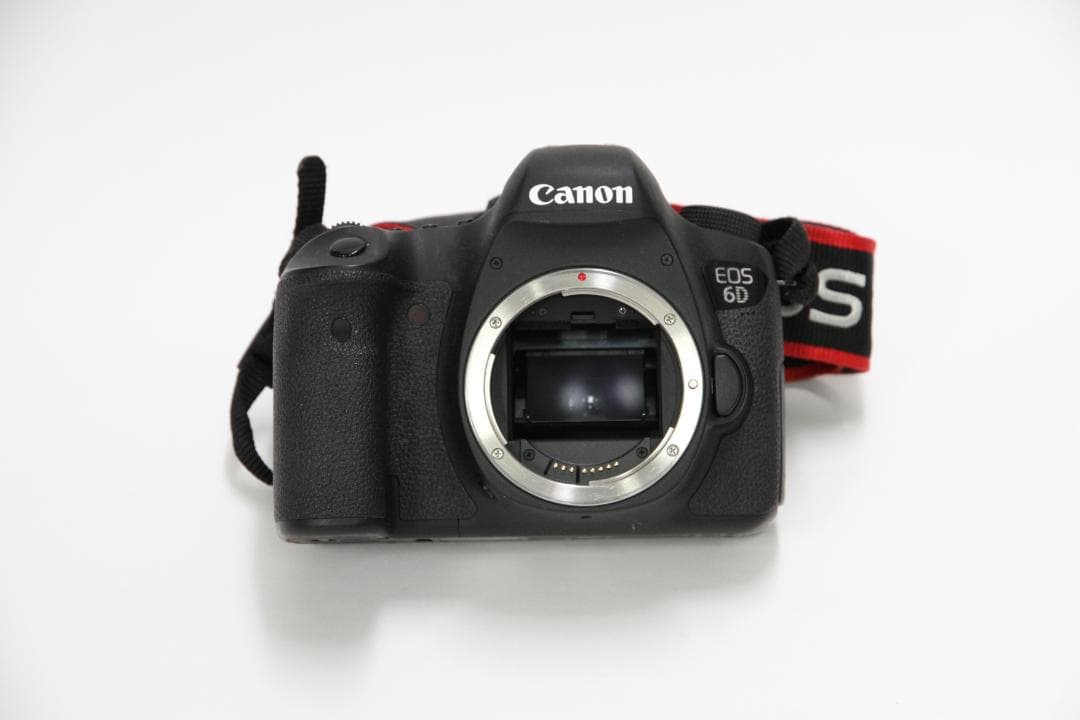 Canon EOS 6DとEF24-105mm　6D-①