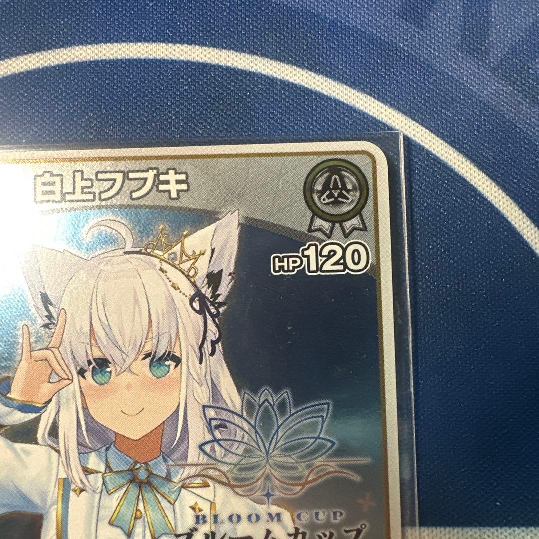 白上フブキ　ブルームカップ　ホロカ