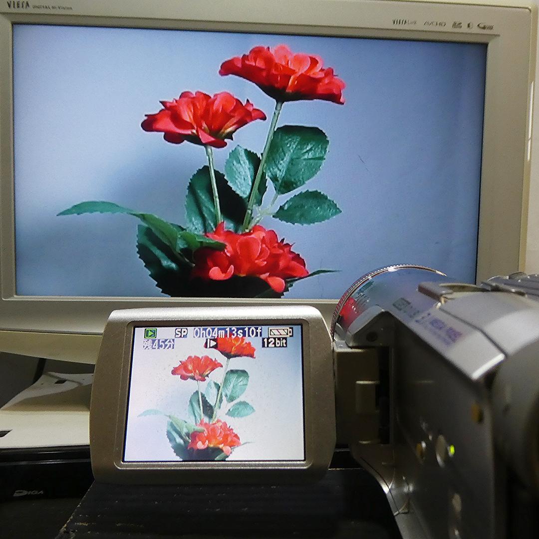 動作良好 パナソニック NV-GS250 MiniDVビデオDVDダビングに最適