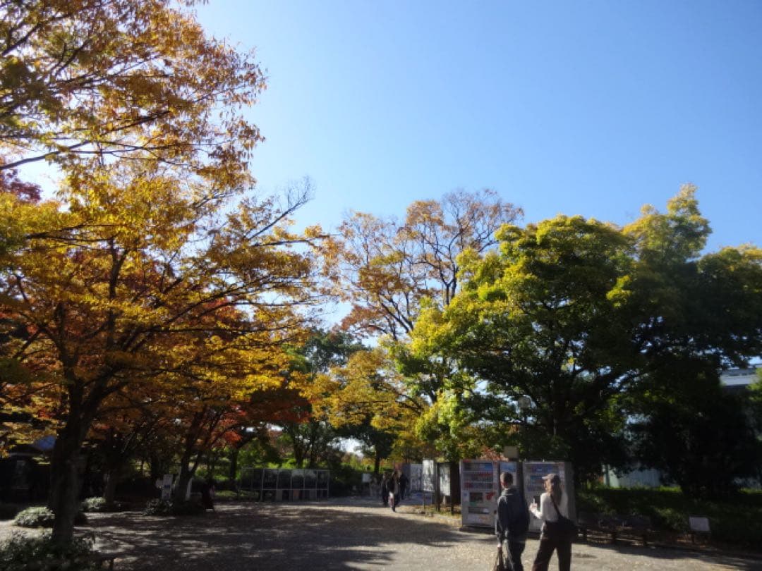 SONY Cyber-shot DSC-WX200 コンデジ 動作品 作例有