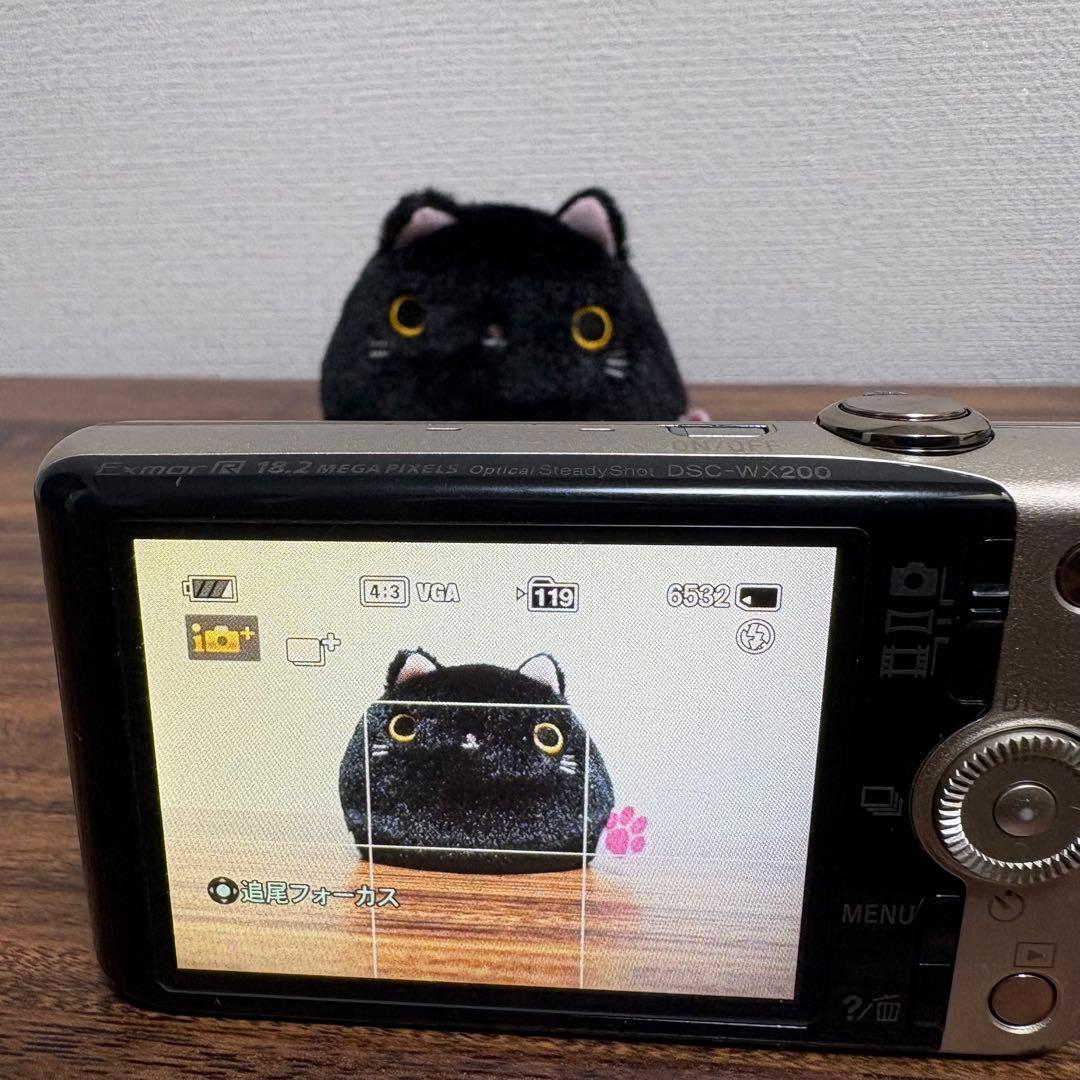 SONY Cyber-shot DSC-WX200 コンデジ 動作品 作例有