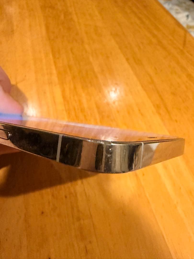 iPhone 12 Pro 256GB SIMフリー ジャンク扱い付 属品あり