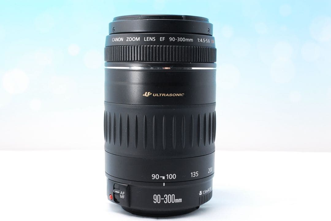 Canon EF 90-300mm F4.5-5.6 USM キャノン 超望遠