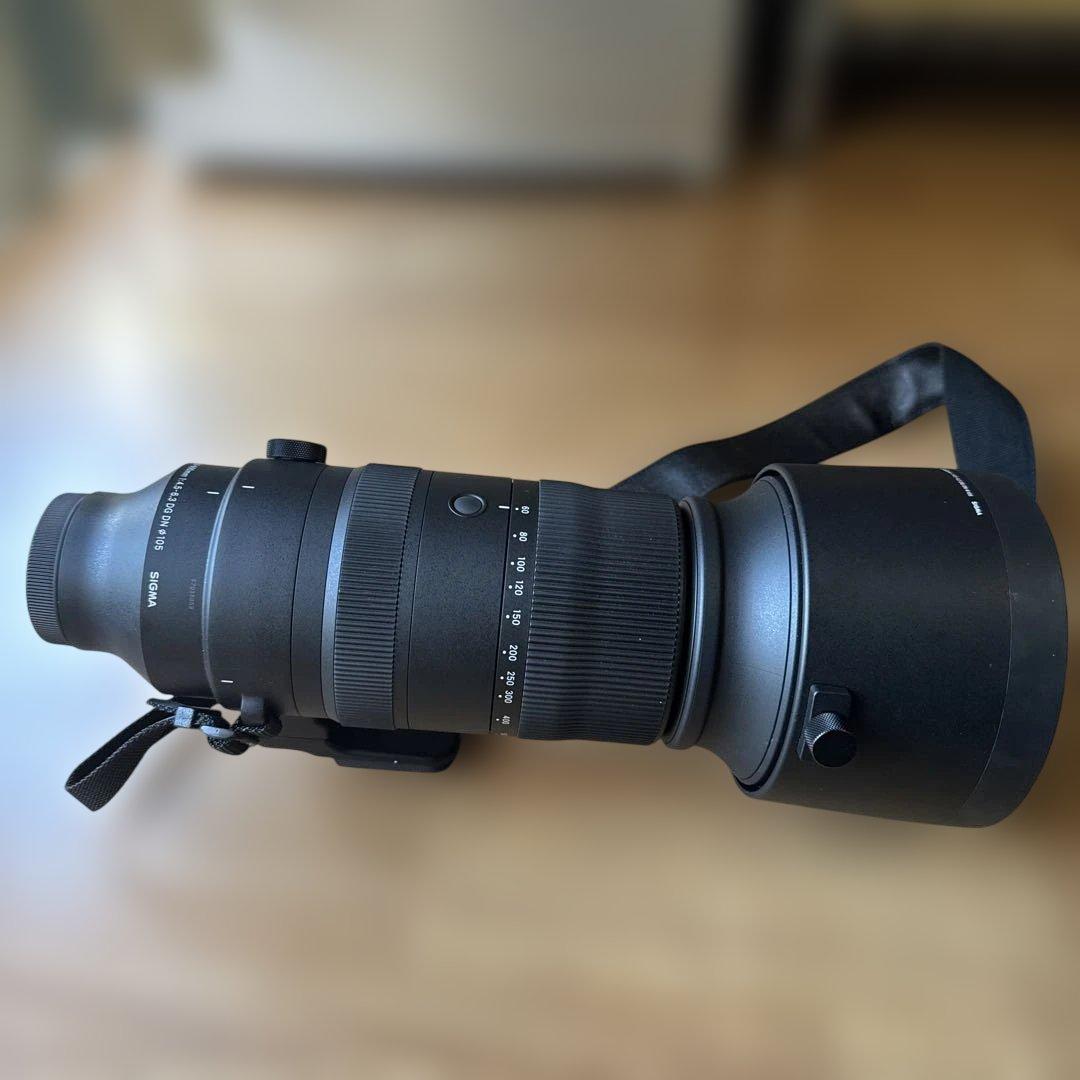 シグマ 60-600mm F4.5-6.3 DG DN OS ソニーE用