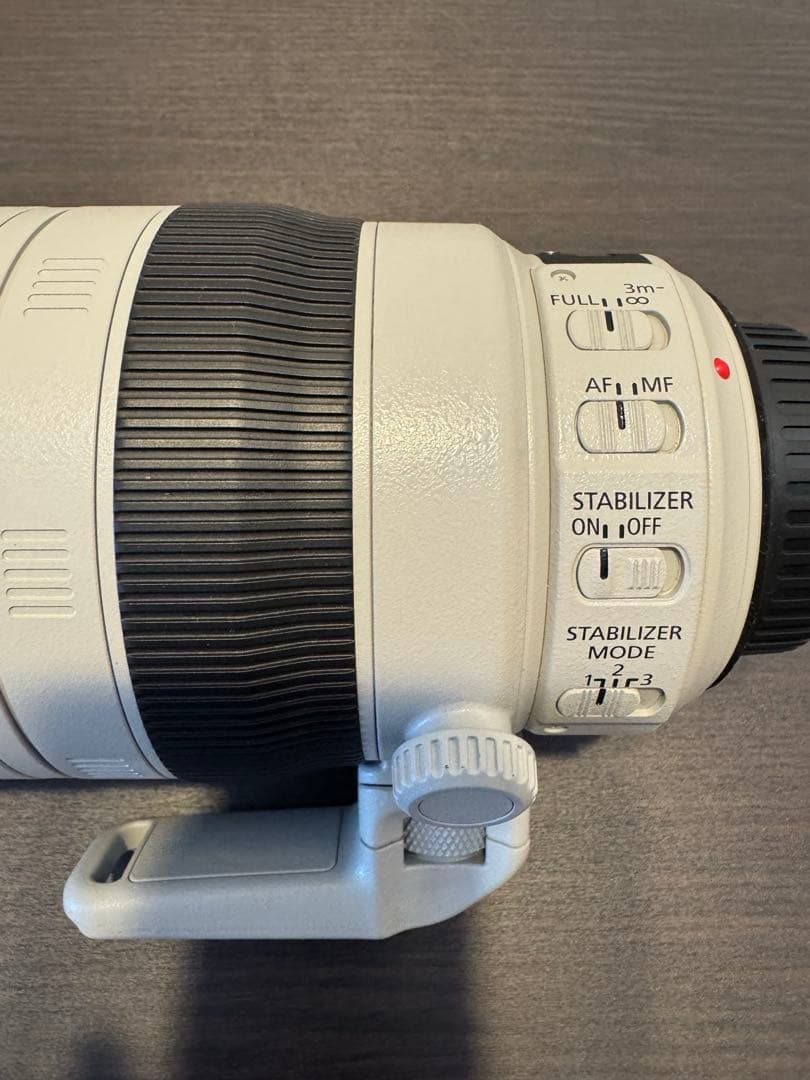 Canon EF 100-400mm F4.5-5.6L IS II キャノン