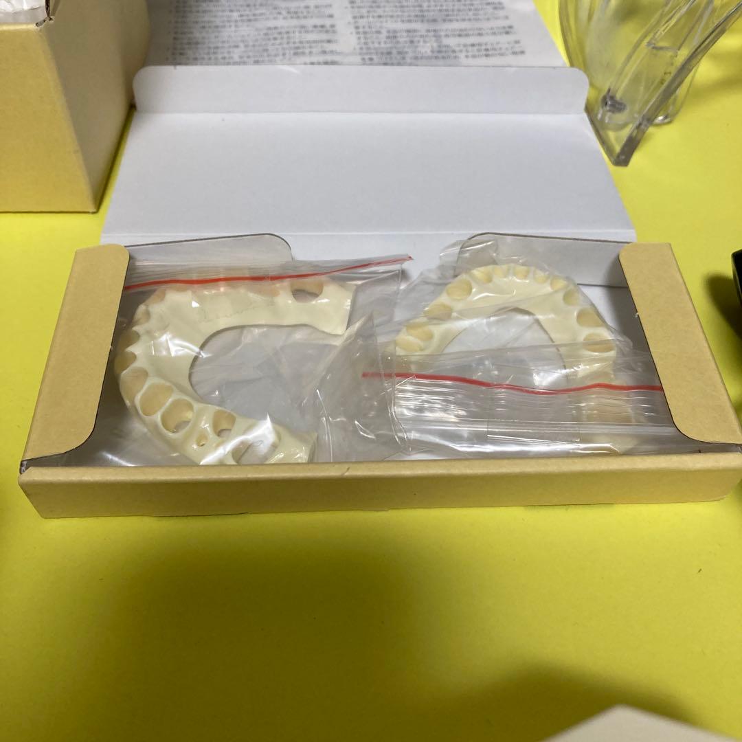 歯科　顎模型　nissin シンプルマネキン　歯科医師　歯科衛生士