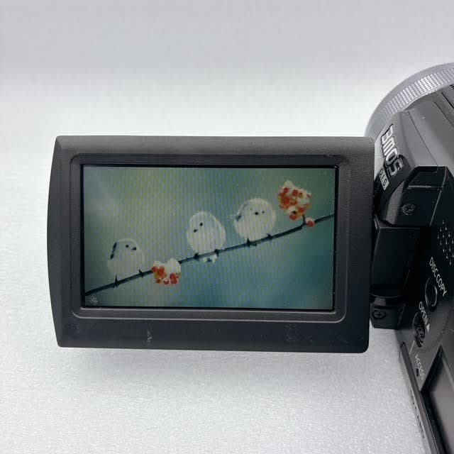 【美品】Panasonic デジタルハイビジョンビデオカメラ HDC-HS100