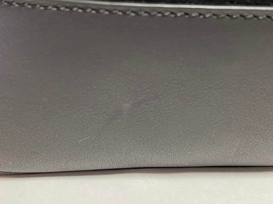 【カモンで踊れ】ロエベ トートバッグ