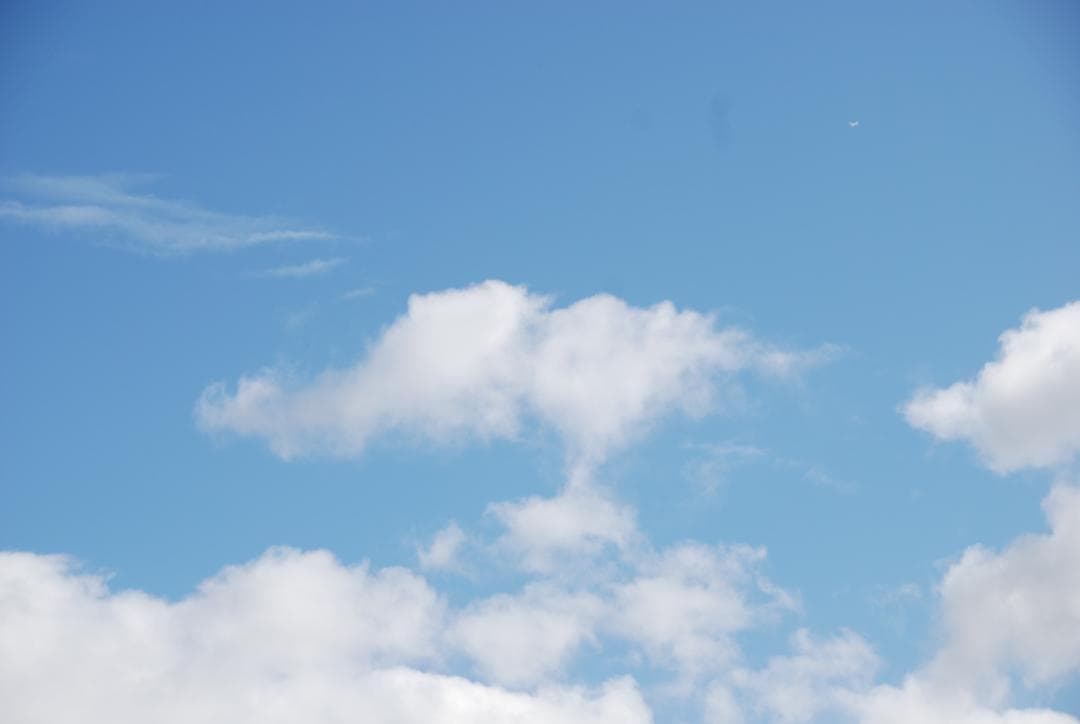 Nikon D80 ニコン 高倍率ズームレンズ付き フルセット 　一眼レフ