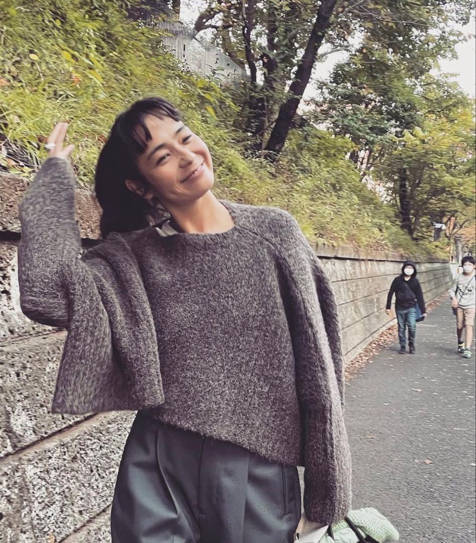 THE SHISHIKUI アルパカ85ニット L GRAY