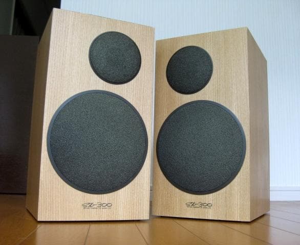 VICTOR SX-300　中古　ペア