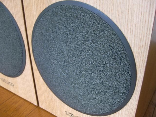 VICTOR SX-300　中古　ペア