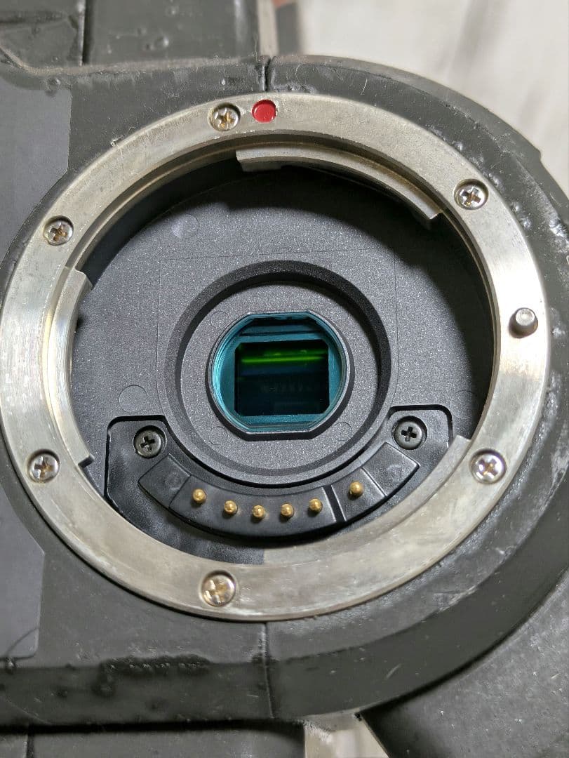 【希少】Canon　DM-XL1S