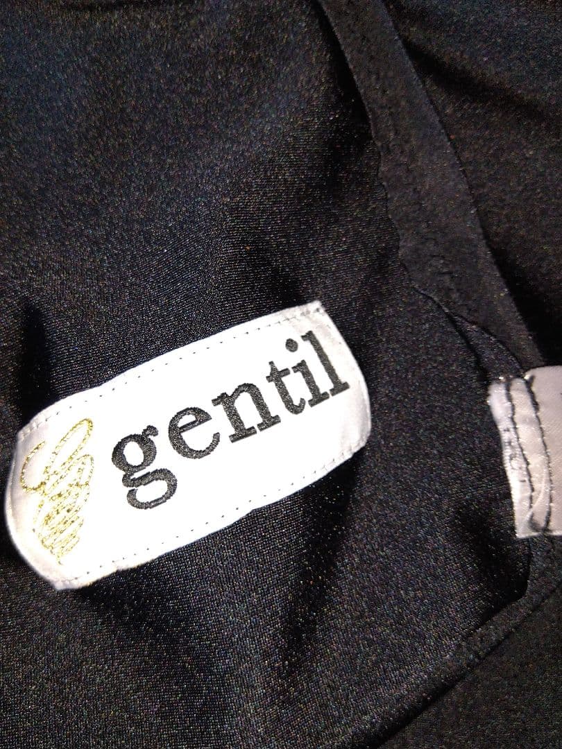 な*ん様 社交ダンス　ジャンテイスタンダードドレス