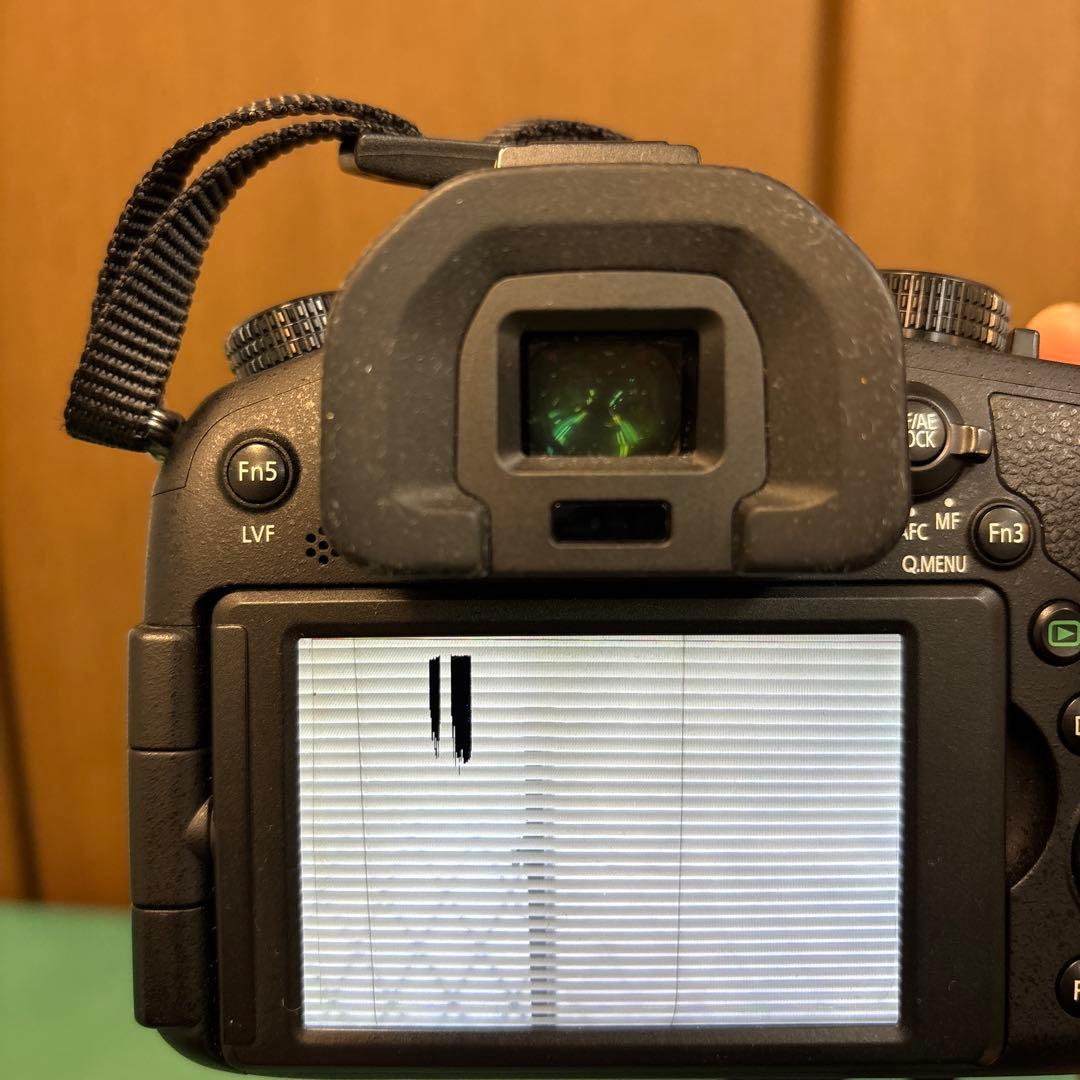 元箱付きPanasonic DMC-FZ1000 デジタルカメラ 4 K