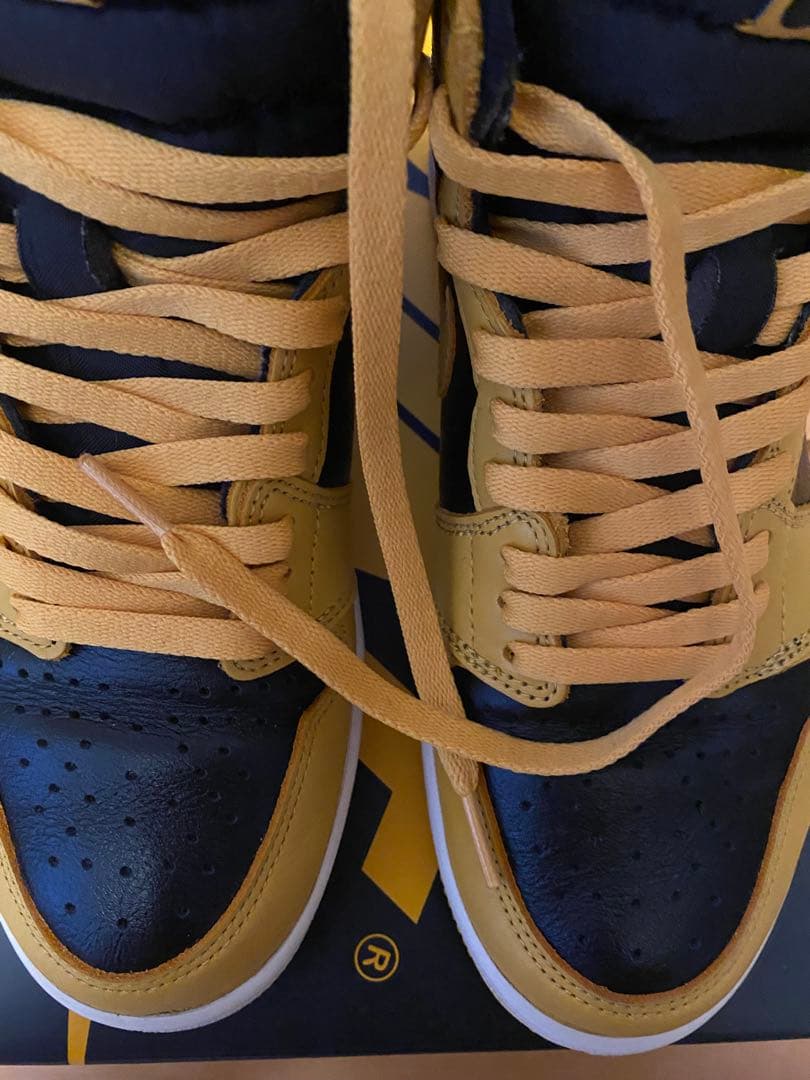 NIKE エアジョーダン1 パラン