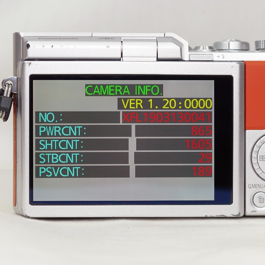 Panasonic Lumix DC-GF10 ＋ 標準ズームレンズ セット