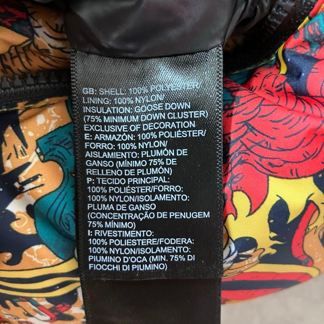 日本未発売 ノースフェイス 総柄 マルチカラー ダウンジャケット/M