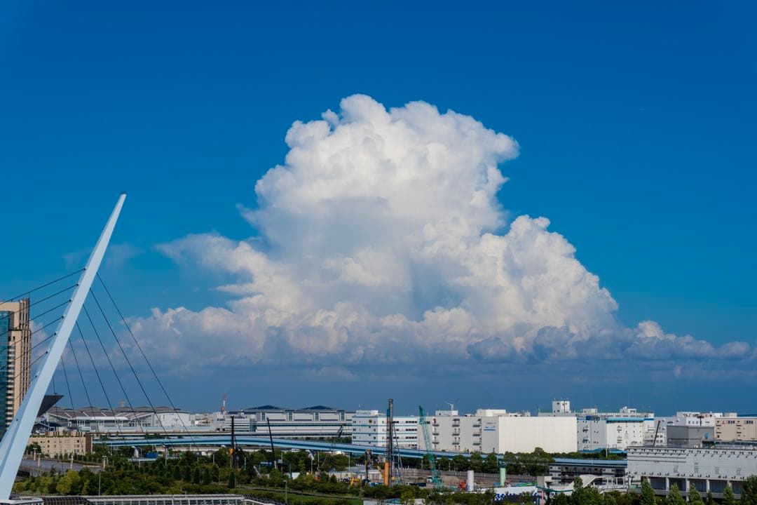 美品Sony α6100 16-50mm + SEL50F18F 2046枚