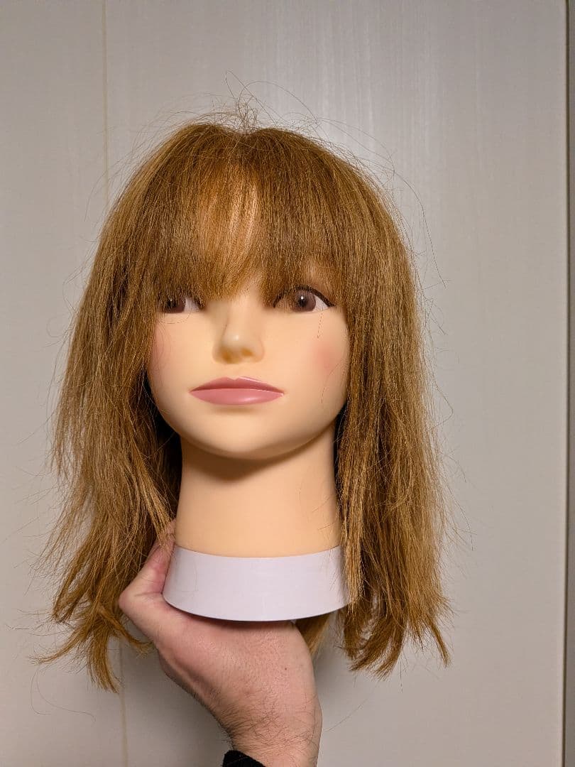 カットウィッグ6体