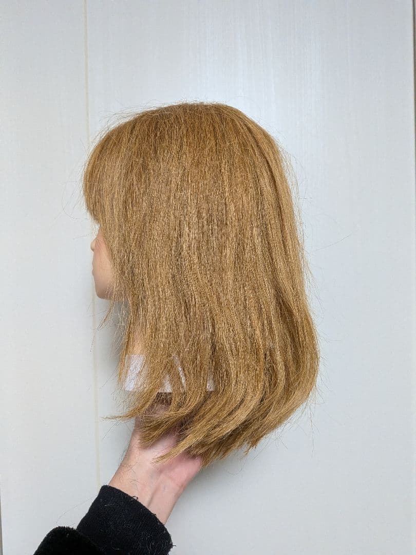 カットウィッグ6体