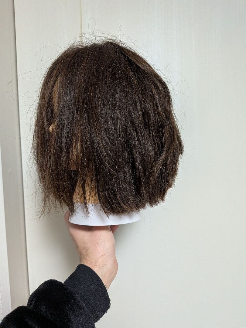 カットウィッグ6体