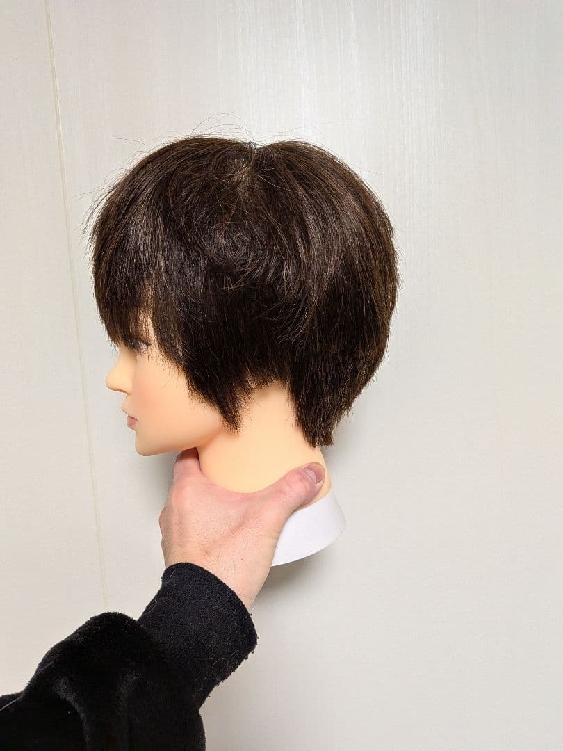 カットウィッグ6体